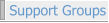 Support Groups